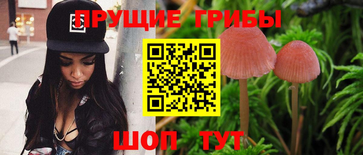 Псилоцибиновые грибы GOLDEN TEACHER  Псилоцибиновые грибы ЛСД  Киржач  Вход с VPN 